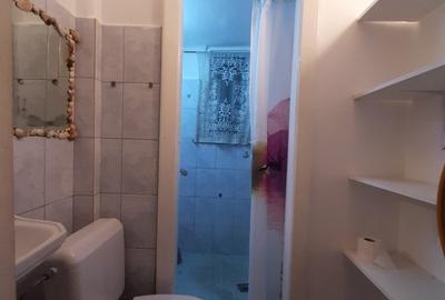 Apartament cu 2 camere semidecomandat în Cișmigiu - 3
