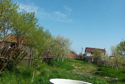 Casă cu 2 camere cu Teren 800 Mp în Vințu de Jos - 1