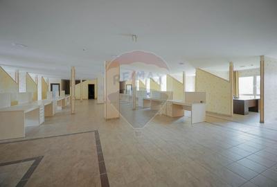 Hala, magazin si birouri de Inchiriat, Zona Metro, Su=1549mp - 18