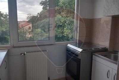 Apartament 2 cam decomandat, de inchiriat, zona parc Olosig- Lacu Rosu - 10