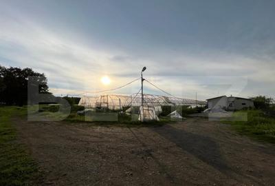 Teren par?ial intravilan 23.500 mp, apa, curent ?i suprav Teren par?ial intravilan 23.500 mp, apa, curent ?i suprav - 22