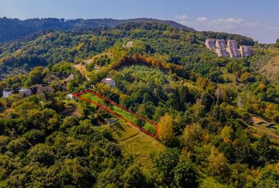 COMISION 0% Teren 2700mp / Strada Coltul Putinarilor/Poiana Brasov - 6