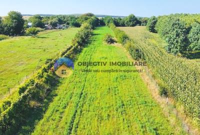 TEREN intravilan  6764 mp DRAGOMIRESTI - VAD - 6