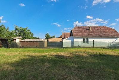 Casă cu Teren 1439 Mp în Banloc - 4
