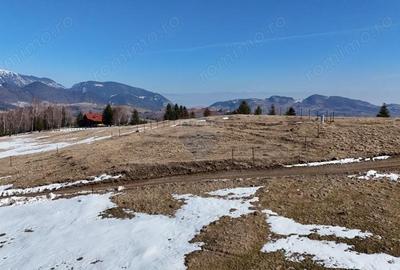 Teren de 1924 mp, în Șirnea - 3