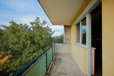 Apartament decomandat cu 3 camere, 70 mp, de vanzare - Zona Cantemir - 11