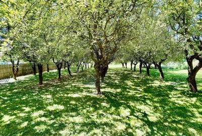 Casă individuală cu 8 camere cu Garaj în Valea Ursului - 1