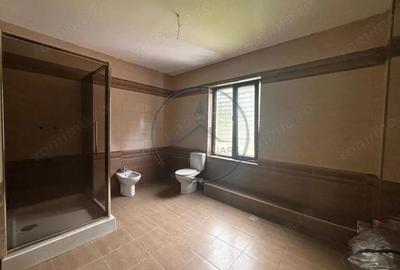 Casa Individuala, de vanzare, 360 mp, zona Piatra Fantanele - 11