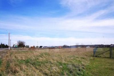 Teren intravilan, Siret, 2500mp - 3