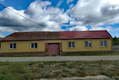 Casă cu 6 camere cu Teren 3000 Mp în Mănăștiur - 1