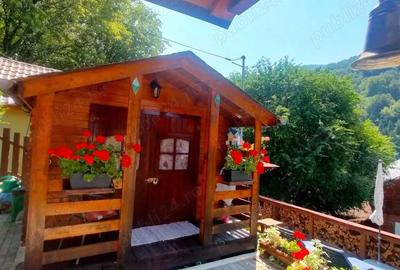 Casă cu 2 camere în Lăpuștești - 4