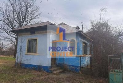 Gospodarie taraneasca in Rociu, Arges - 7