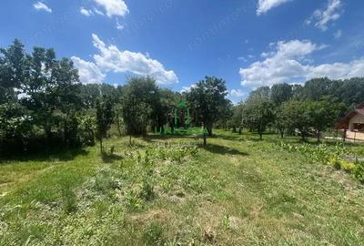 Teren Fedelesoiu/3200 mp/Intravilan - 1