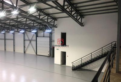 Depozit/hala/spatiu industrial Theodor Pallady - Drumul Int - 5