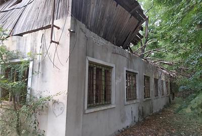 Casă cu 6 camere în Buziaș - 10