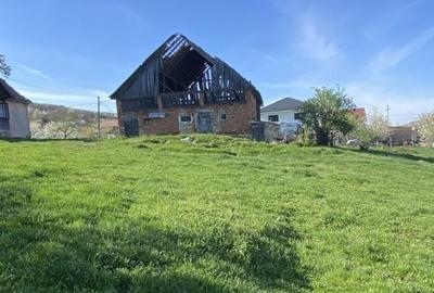 Teren cu casa demolabila Valea Chintaului 2000 mp extravilan - 4