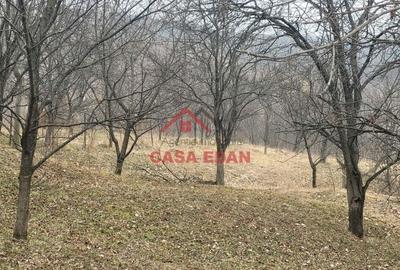 Teren intravilan in Breaza,1358 mp, 40.000e - 13