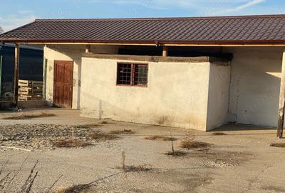 Spațiu comercial, de 450 mp, în Central - 9