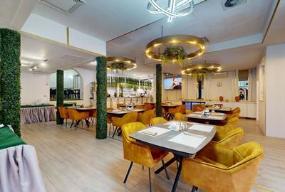 Spatiu comercial cu teren Arcul de Triumf - 3