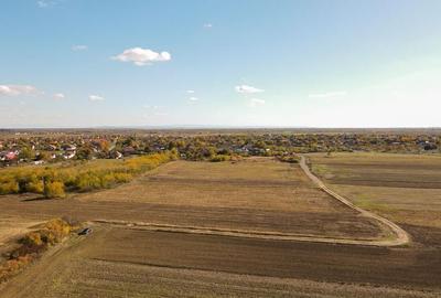 Bucovat - Lot Intravilan 2.27 Ha, PUZ inceput, Rezidentia... - 9