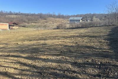 Spațiu comercial, în Vlădiceni - 4