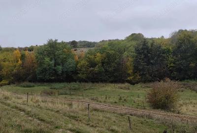 Spațiu comercial, de 240 mp, în Ștubeiu - 13