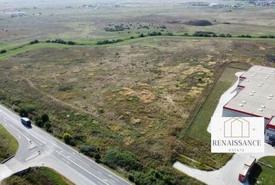 Teren PUZ Aprobat Pretabil Hale | 55.000mp - Park Industrial Sanandrei - 3