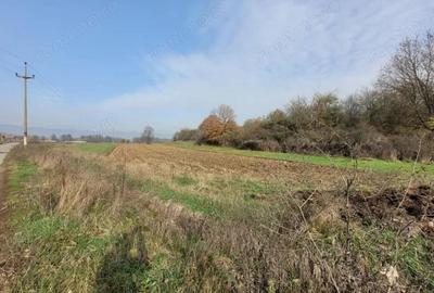 Vanzare teren intravilan - 1654 mp - strada Amurgului - Ursa?i - 3