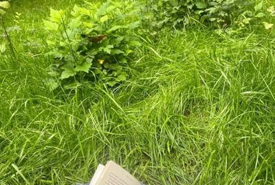 Apartament cu 2 camere semidecomandat, mobilat în Floreasca - 11