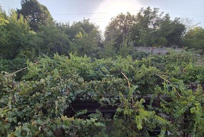 Teren + Locuinta D+P+1 - 25