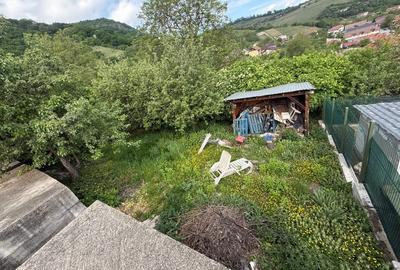 Casă individuală cu 3 camere cu Canalizare în Viile Noi - 3