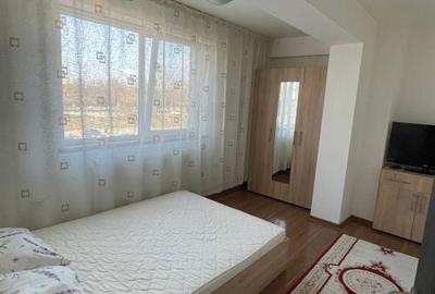 Apartament cu 2 camere decomandat, mobilat în Brazda lui Novac - 7