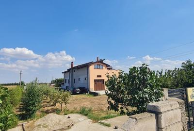 Casa P+M Cosmesti - 2