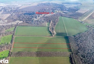 Teren de 16900 mp, în Grădiștea - 3