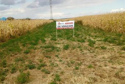 Teren Construcții intravilan de 6200 mp, în 9 Mai - 5