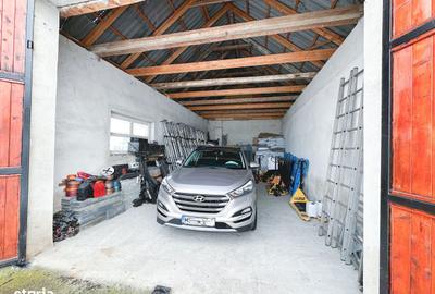 Spațiu comercial, de 500 mp, în Adămuș - 11