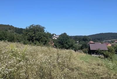 Teren de 2050 mp, în Poienița - 5