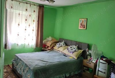 Casa de vanzare in loc.Halmeu - 1