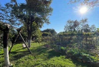 Casa individuala + anexa si gospodarie , 247 mp , 3 nivele, - 9