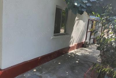 Vand casa zona Plantelor - 9