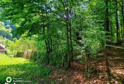 Teren de 1750 mp, în Central - 9