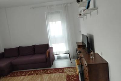Apartament cu 2 camere decomandat, mobilat în Viilor - 4