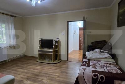 Apartament de vanzare, cu 2 camere, 46 mp, zona Careiului - 2