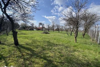 Casă cu 2 camere cu Teren 1702 Mp în Șercaia - 2