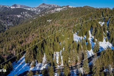 Teren de 15000 mp, în Central - 1