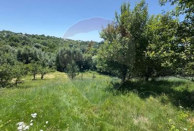 Teren Intravilan 3000 mp in Valea Mare-Pravat la Super Pret - 5