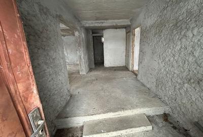 Casă cu 2 camere în Săcel - 3