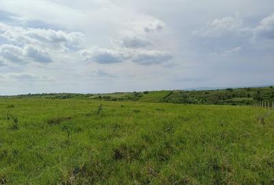 Spațiu comercial, în Lugoj - 14