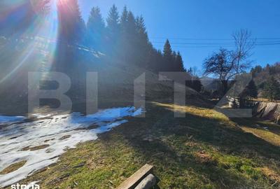 Teren de 2977 mp, în Scărișoara - 7