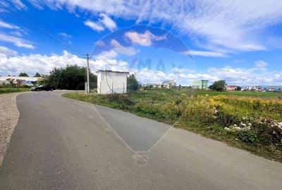 De vanzare - Teren industrial 8.500 mp, Grivitei/Calea Feldioarei - 16